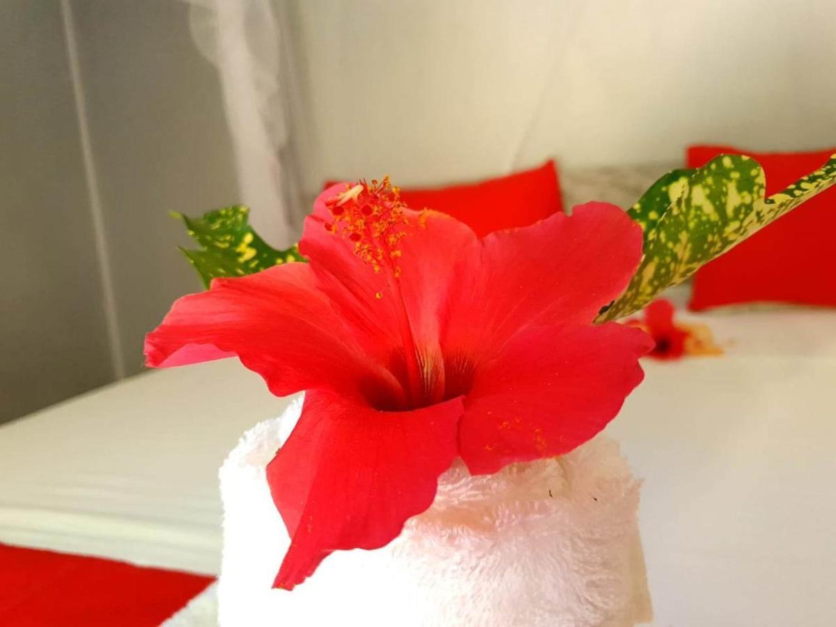 Villa Ilo Komba クンバ島 エクステリア 写真